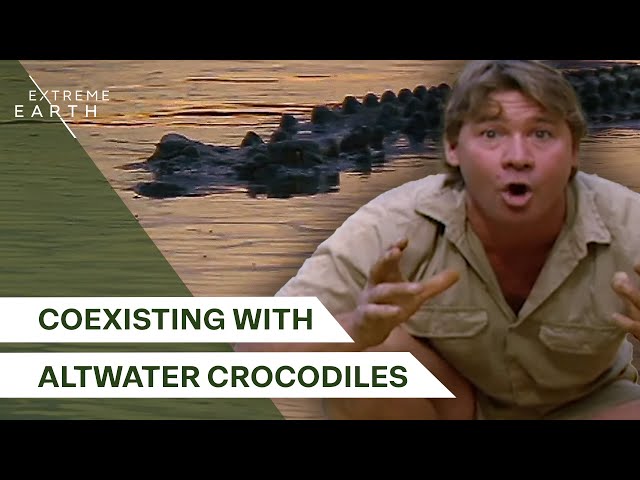 Steve Irwin’s Fight to Preserve Saltwater Crocs | The Deadliest