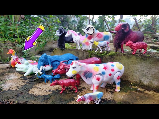 Menemukan Mainan Sapi Sapi Lucu, Gajah, Bebek Angsa, Dinosaurus, Sapi Warna Warni