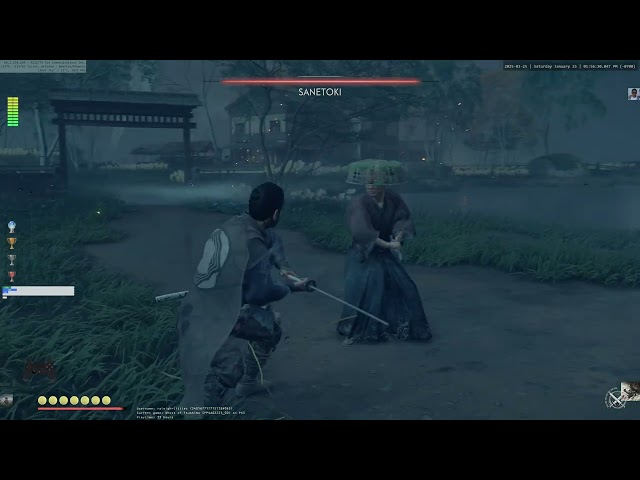 A Thief of Innocence: Sanetoki duel - Ghost of Tsushima Director's Cut