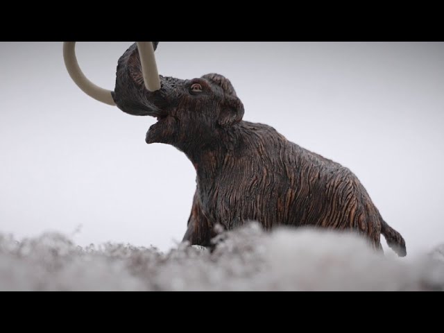 Utah's hockey team name finalist: What do mammoths have to do with Utah?