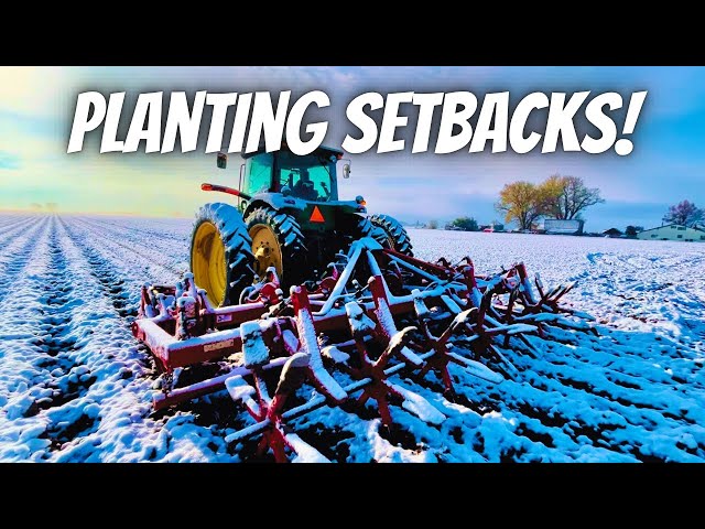 Potato planting in harsh weather!