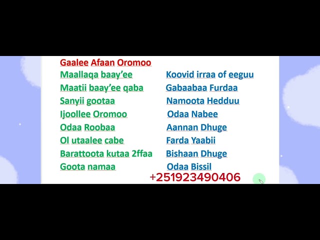 Afaan Oromoo Gaalee Afaan Oromoo #study Afaan Oromoo#Amharic English letters