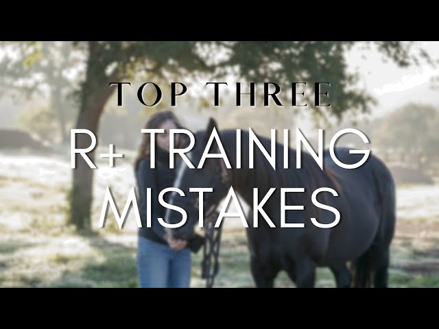 Top Three R+ Training Mistakes