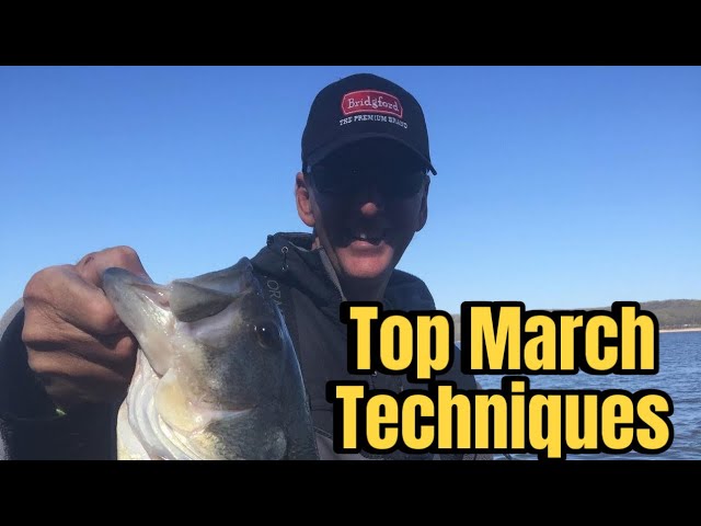 Catch Loads Of Bass In March Using THIS Little Known Technique