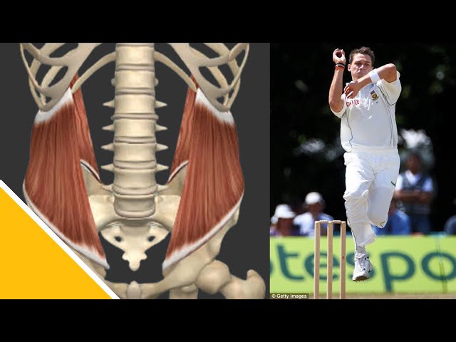 Trunk Muscles for Cricket Fast Bowling? │ Prof Benita Olivier