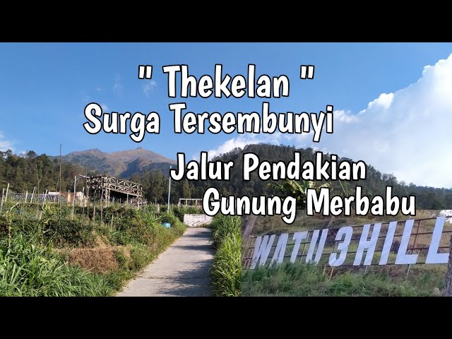 " THEKELAN " GUNUNG MERBABU,SURGA TERSEMBUNYI DI JALUR PENDAKIAN GUNUNG MERBABU