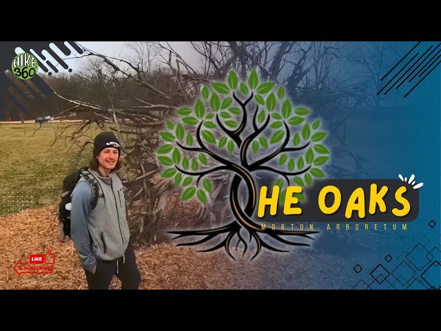 Morton Arboretum - The Oaks (Hike 360° VR Video)