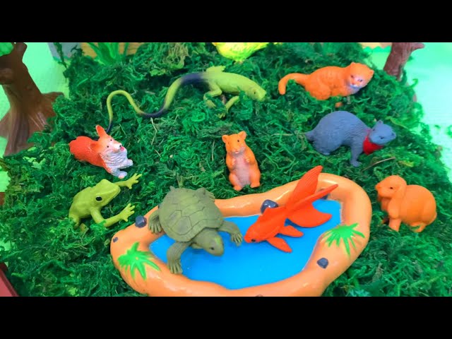 Guess the Pet Animal Toy with Riddle Rhyme for Kids