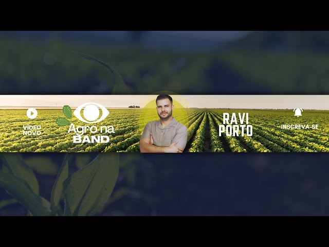 AGRO NA BAND OM RAVI PORTO - PRODUÇÃO DE ACEROLA - 08/02/2025