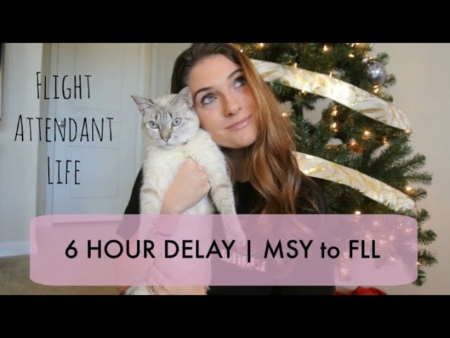 6 HOUR DELAY + FIRST VLOG | Flight Attendant Lifestyle