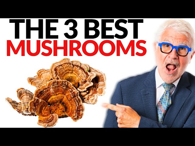 The Best 3 Mushrooms You Need To START EATING! | Dr. Steven Gundry