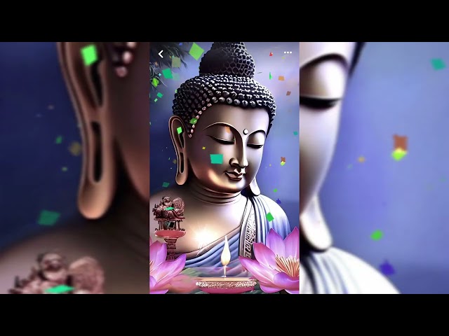 🍁🍁 Buddha Meditation Music 🍁🍁 Buddha Video || Beautiful Effects || Buddha || Meditation ||