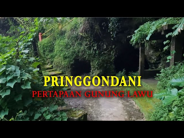 Pertapaan Pringgondani Gunung Lawu - Menepi Sejenak dari Keriuhan Dunia