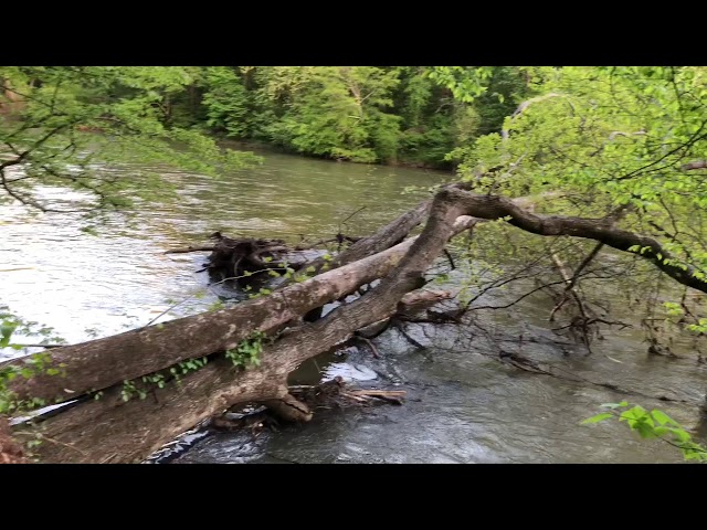 Georgia Rainbow Trout Scouting Locations