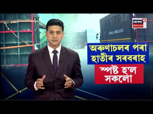 Assam Elephant Viral News LIVE: অৰুণাচলৰ পৰা হাতীৰ সৰবৰাহৰ ভাইৰেল ফটো/ভিডিঅ’- স্পষ্ট হ’ল সকলো | N18L