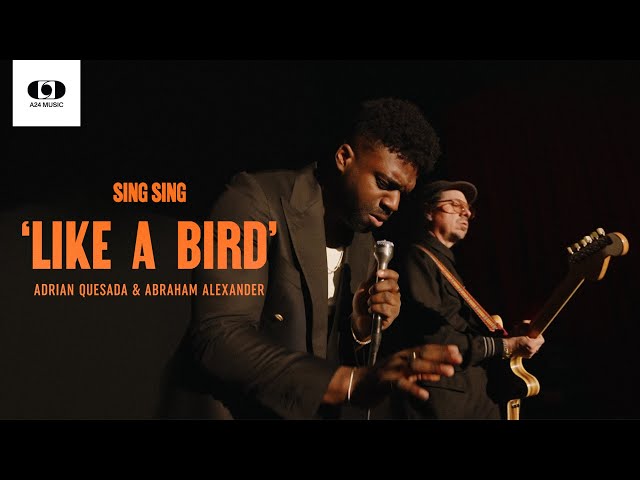 Abraham Alexander & Adrian Quesada - Like a Bird (Official Video)