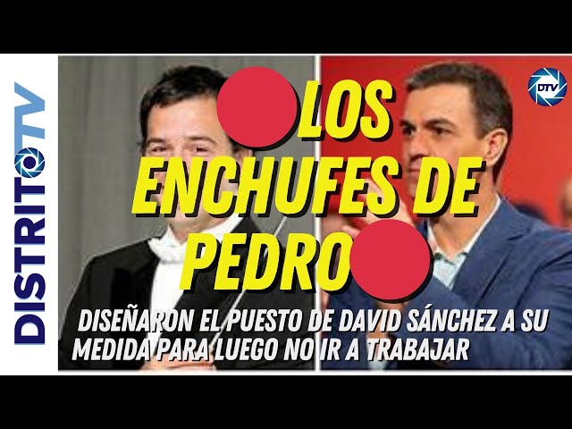 🔴LOS ENCHUFES DE PEDRO🔴 DISEÑARON EL PUESTO DE DAVID SÁNCHEZ A SU MEDIDA PARA LUEGO NO IR A TRABAJAR