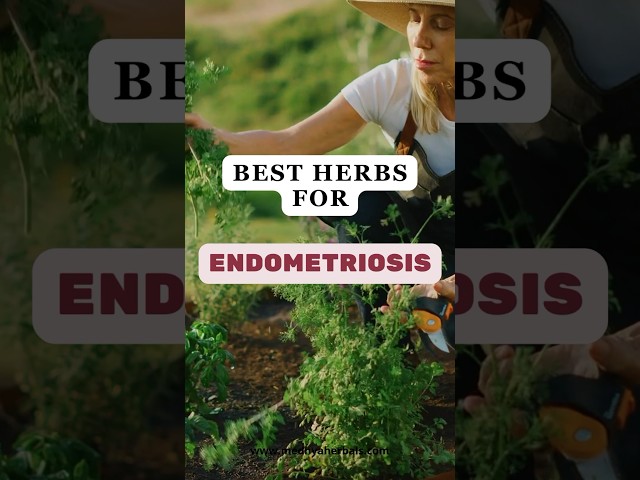 Endometriosis Pain Relief: Home Remedies🌿