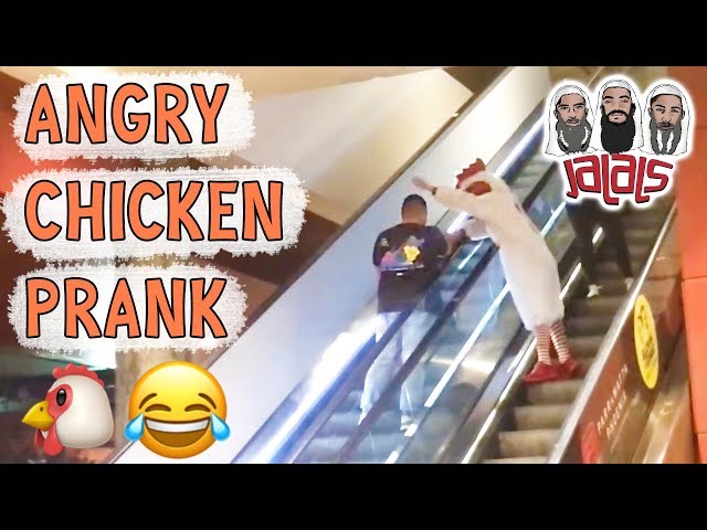 JALALS' ANGRY CHICKEN PRANK!