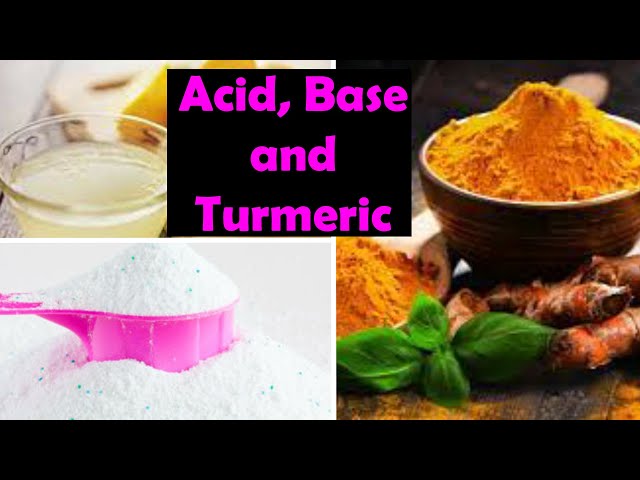 Acid, Base and Turmeric Experiment | Karan's World