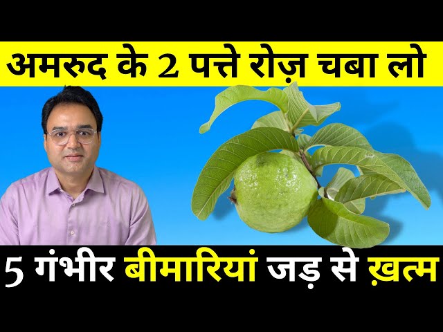 खली पेट अमरुद के 2 पत्ते खाने के 5 फायदे | 5 Health Benefits Of Guava Leaves