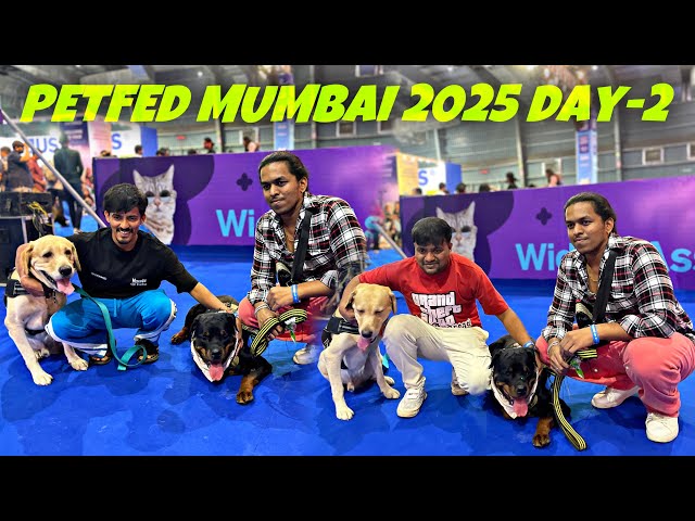 PETFED MUMBAI 2025 DAY-2 WITH ROTTWEILER | DOG PROTECTION, WORKINGDOGS , DOG BITE | DAY-270 | PART-2