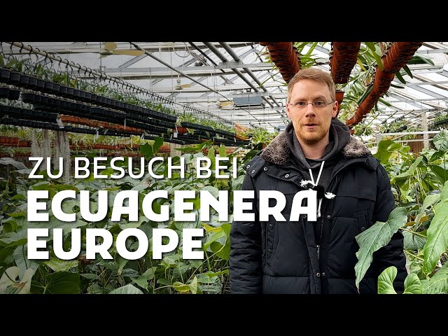 Ecuagenera Europe: A paradise for plant lovers!