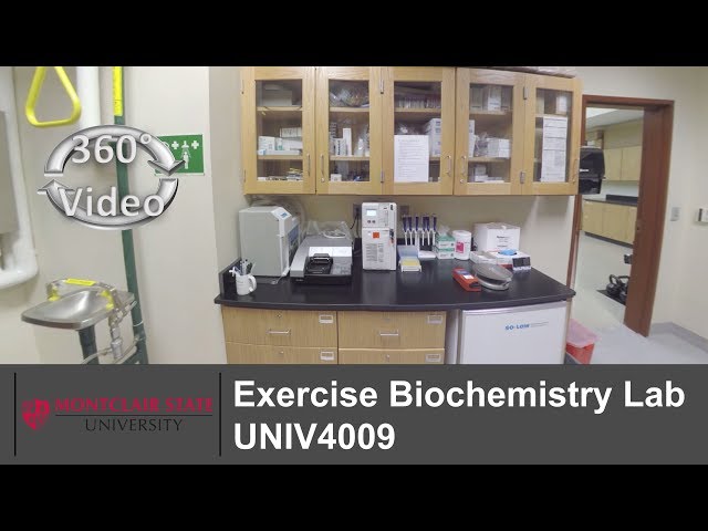 (360 Video) Exercise Biochemistry Lab UNIV4009