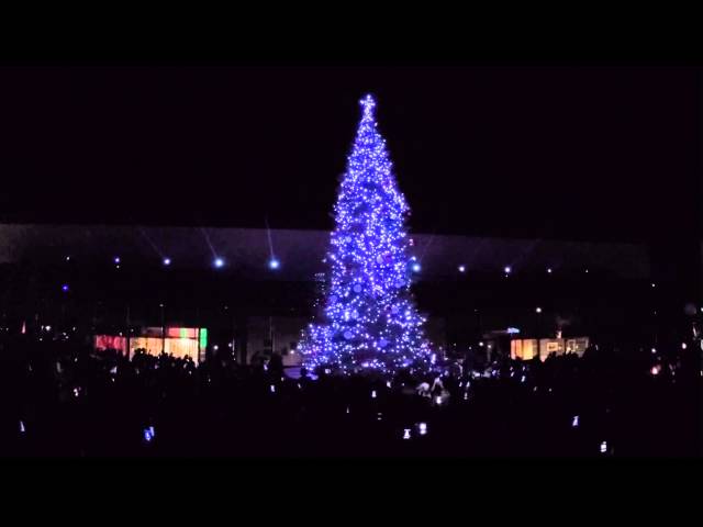 2015 Saddleback Church Christmas Tree Lighting Moment