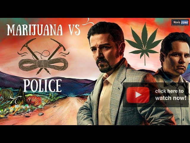 #Narcos Marijuana vs Police