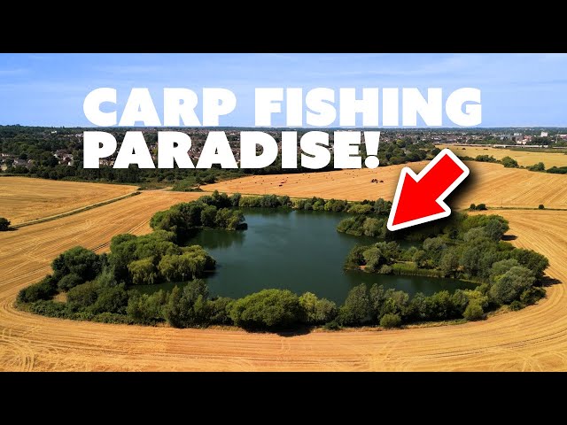 Carp Fishing Paradise! Dave Levy takes on 'The Mill' | Mainline Baits Carp Fishing TV