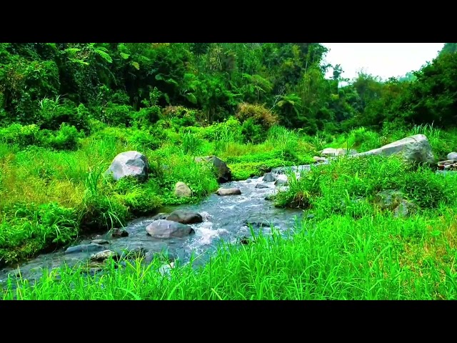 River Sound for Sleeping - Natural River Sound Calm River Water flow for Sleeping, Relaxing, Work