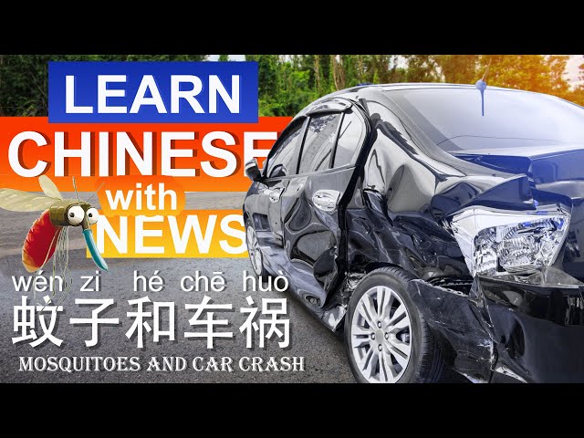 Learn Chinese with News: 蚊子致车祸Car accident by a mosquito/HSK1-6/Listening and speaking 2020