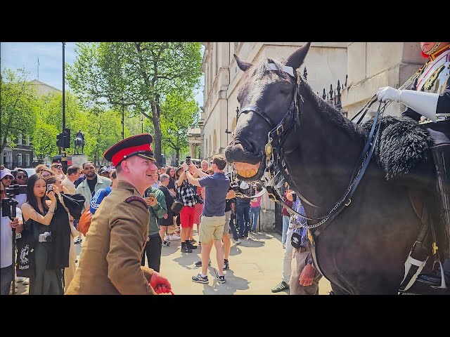 HORSE LAUGHS and MULTIPLE IDIOTS provoke LOUD SHOUTS as huge crowds arrive at Horse Guards!