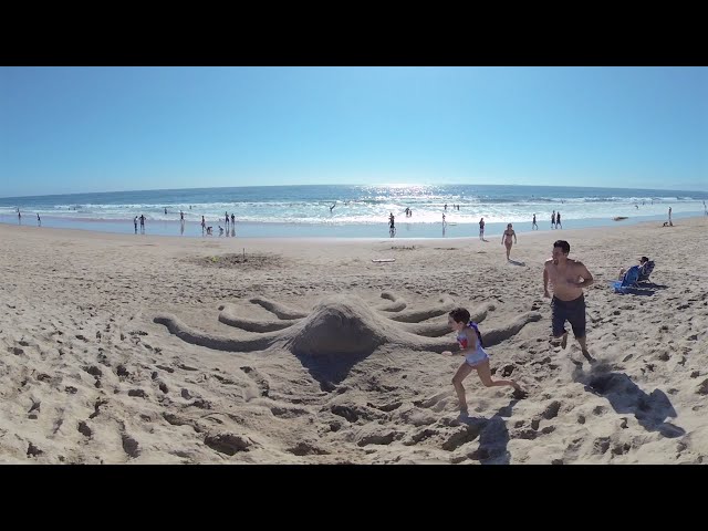 GIANT SAND OCTOPUS at Manhattan Beach, California