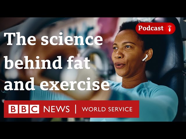 Where does our fat go when we exercise? - CrowdScience podcast, BBC World Service