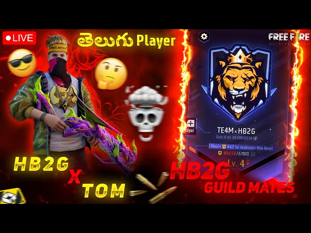 HB2G IS Live Gulid Test 1v2 or 1v3 1v4 #telugulive #viral #trending HB2G❗ X TOM FF🎯