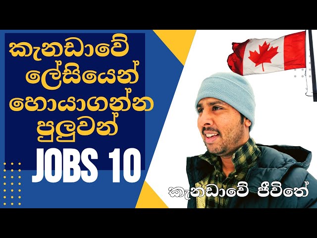 ලේසියෙන්ම හොයාගන්න පුලුවන් කැනඩා​වේJobs CANADA ‍| Top 10 Canada Jobs #sinhala #canada