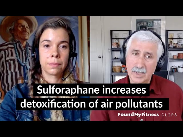 Sulforaphane increases detoxification of air pollutants | Jed Fahey