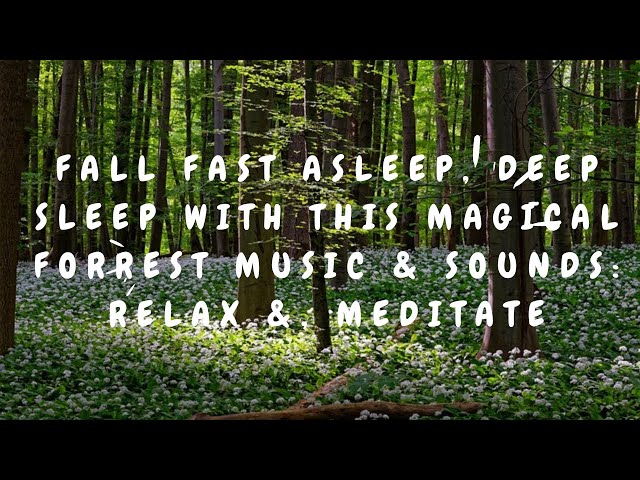 Fall fast Asleep, Deep Sleep with this Magical Forrest Music & Sounds: Relax and Meditate