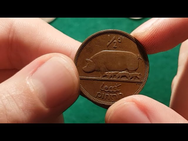 This Little Piggy Stayed in my Pocket!!! Worldwide Coin Hunt #10