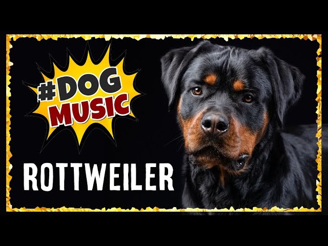 DOG MUSIC: Relaxing Rottweiler Music For Dogs - Sleep Music For Rottweilers [TESTED]