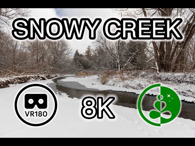 SNOWY CREEK - VR180 - 8K w/ Spatial Audio