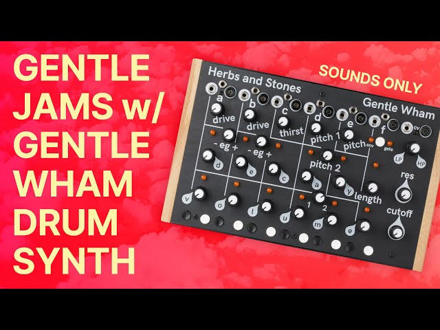 Herbs & Stones Gentle Wham : Analog Drum-Drone-Synthesizer (Synth Sounds ONLY)