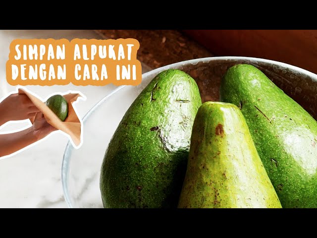 Inilah Cara Menyimpan Alpukat Agar Matang Sempurna ! Tips Alpukat Gak Gampang Busuk