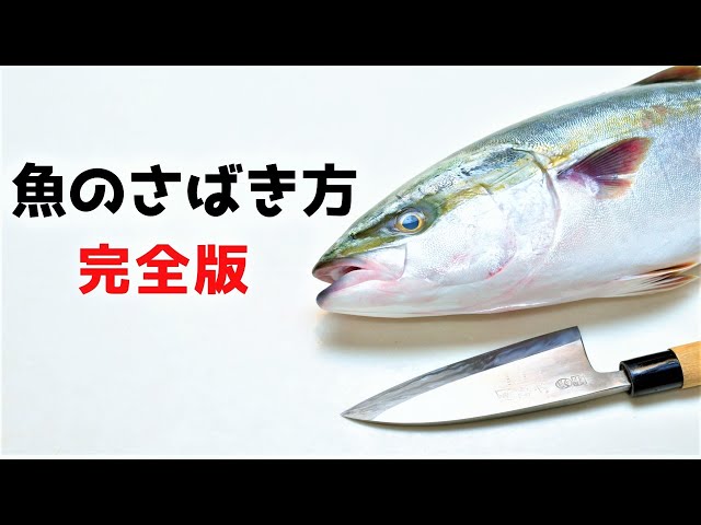 イナダのさばき方【初心者向け 魚のさばき方】