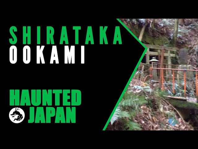 Haunted Japan: Shirataka Ookami (Home of the kitsune spirit!)