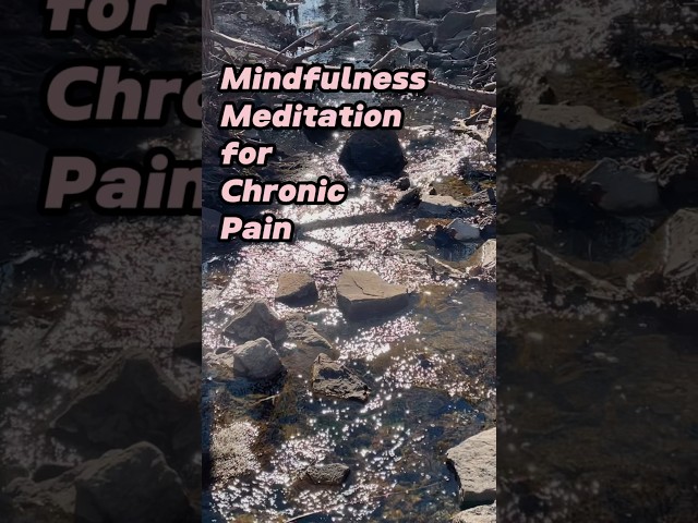 The Power of Mindfulness Meditation in Managing Chronic Pain