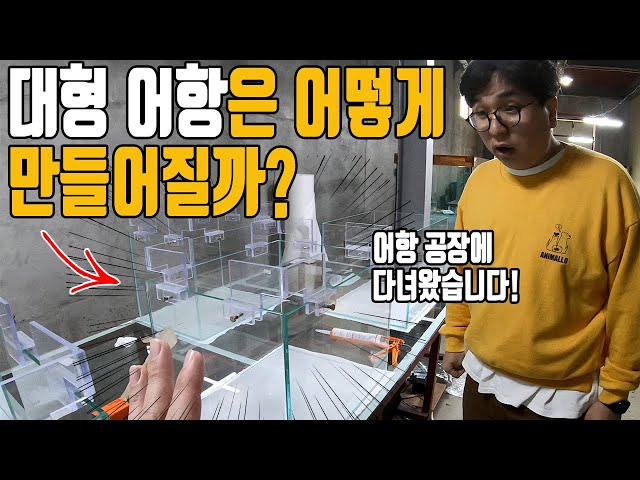 대형어항은 어떻게 제작될까요? 어항 공장에 다녀왔습니다.[애니몰로TV]