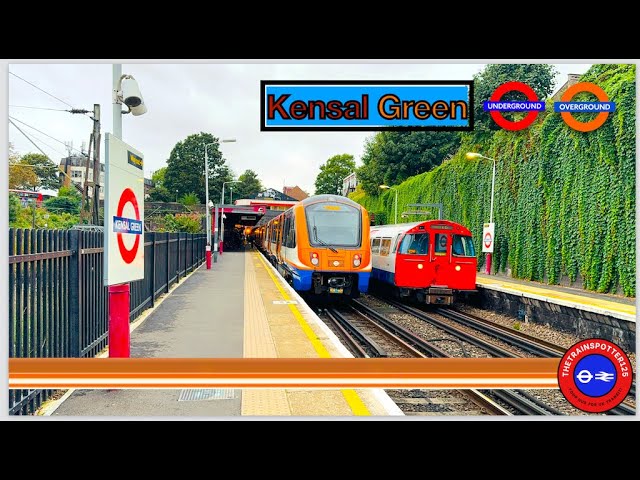 Trains at Kensal Green Station! - LU/WDC (10/09/2024)